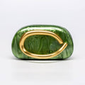 Trendy Shell Acrylic Clutch Bag for Evening Events: Acrylic Green